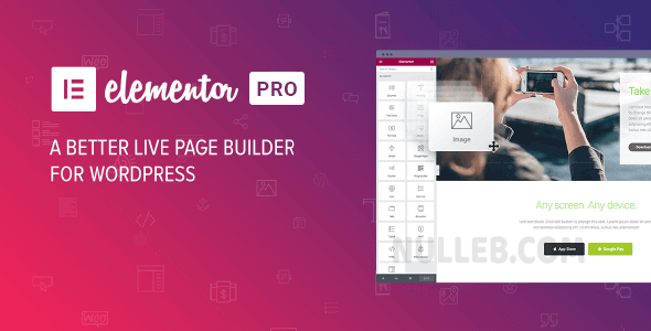 Elementor Pro – The #1 Drag and Drop Website Builders
